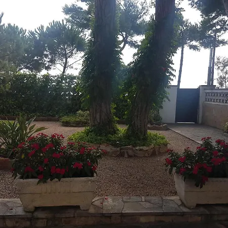 Mar Daire Platja d'Aro